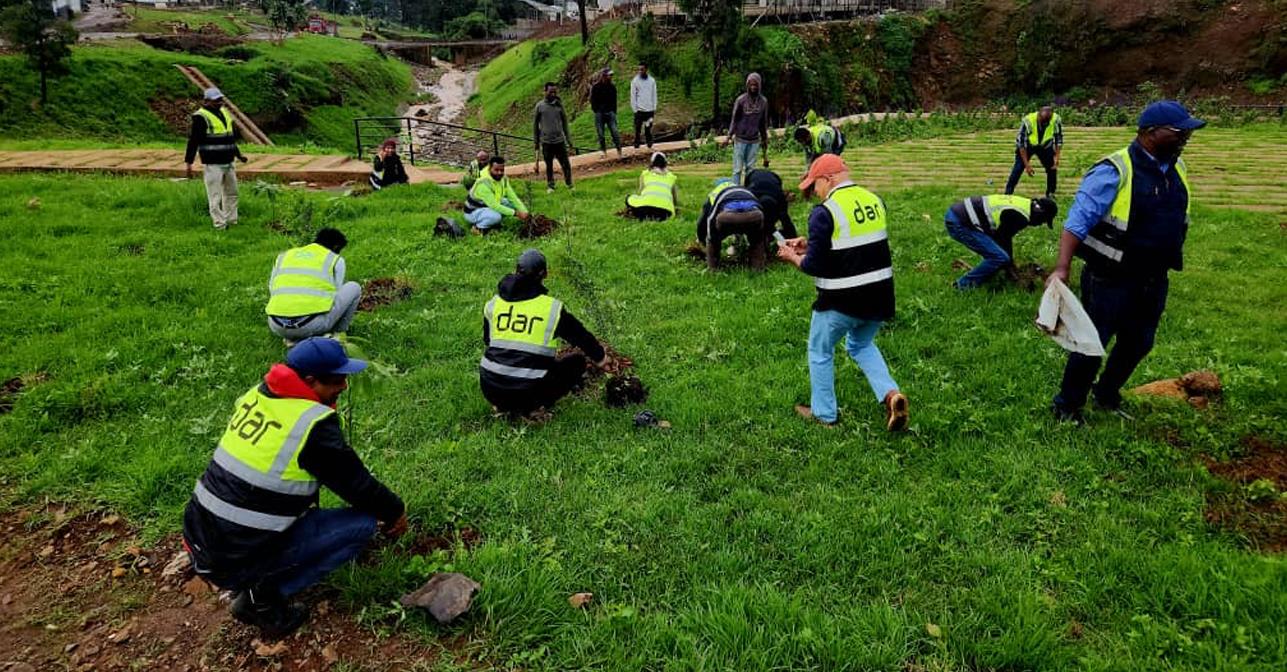 Dar Contributes to Ethiopia’s Green Legacy Initiative